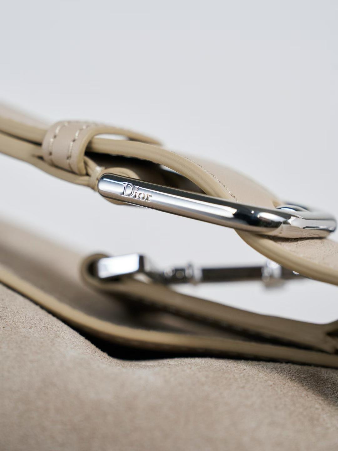 Dior Medium ly Bag view 6