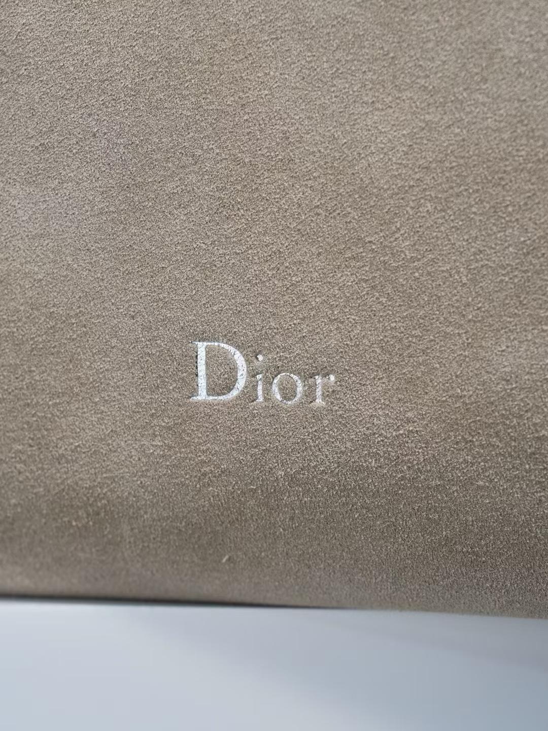 Dior Medium ly Bag view 7