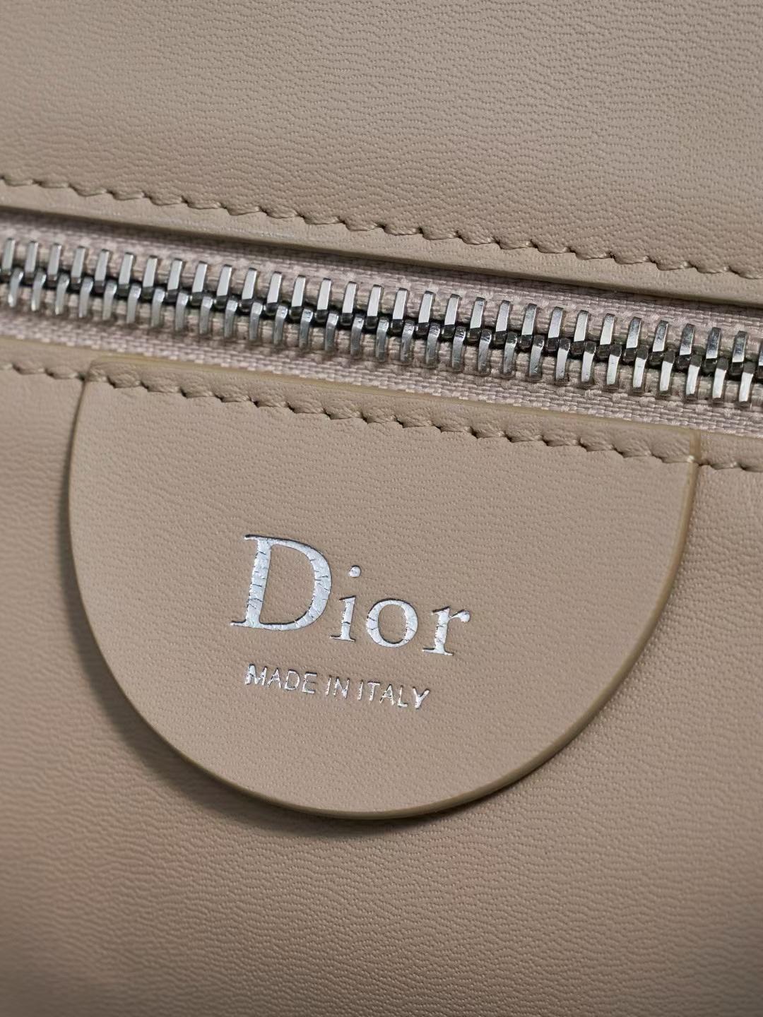 Dior Medium ly Bag view 9