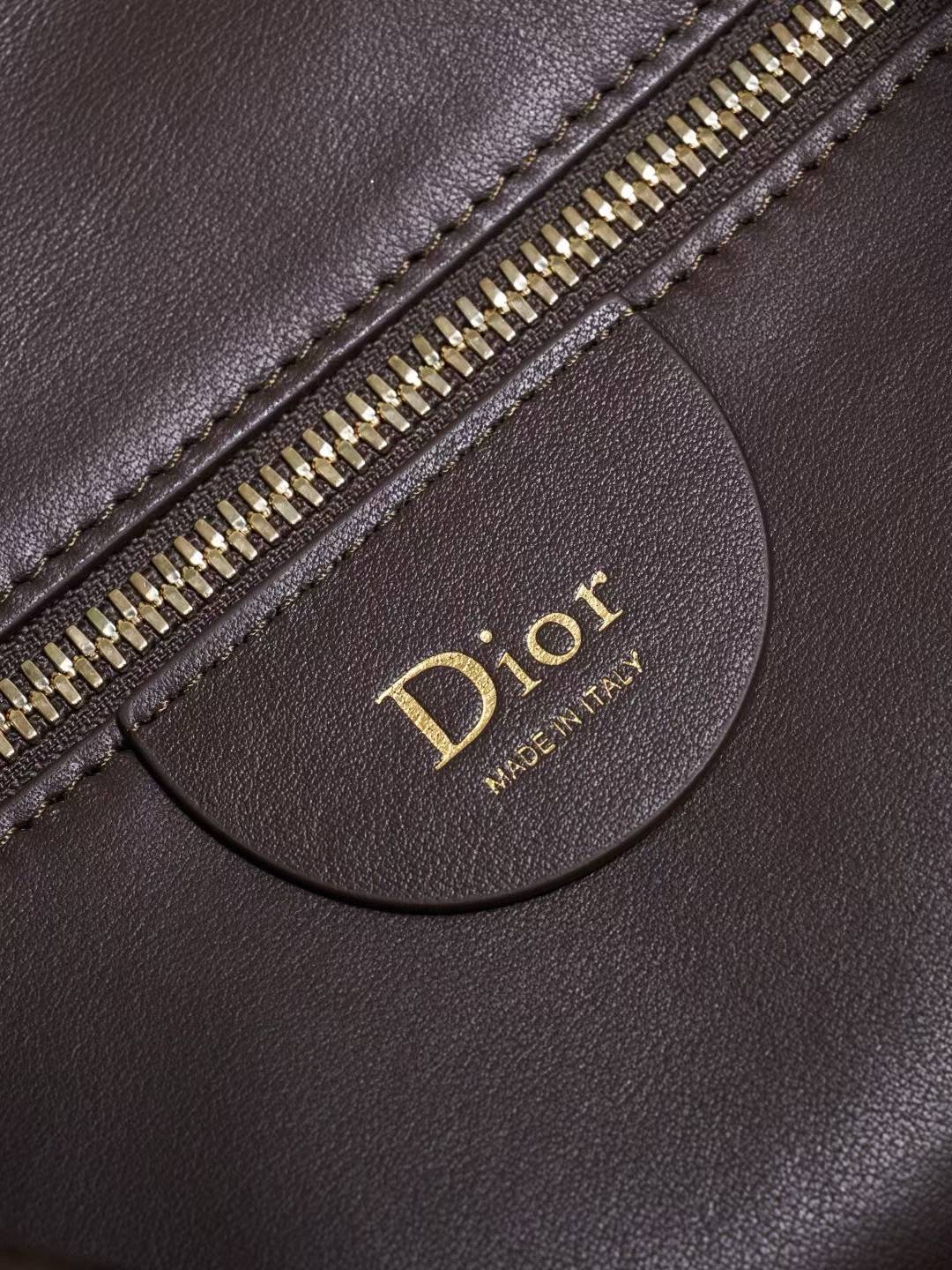 Dior Medium ly Bag view 7