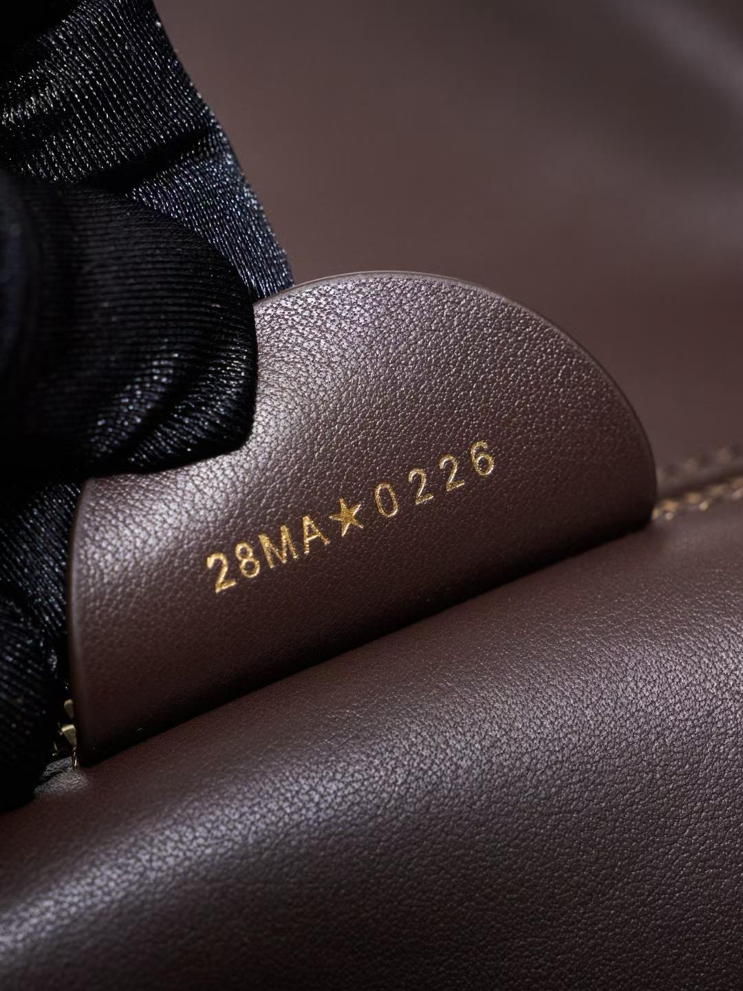 Dior Medium ly Bag view 8