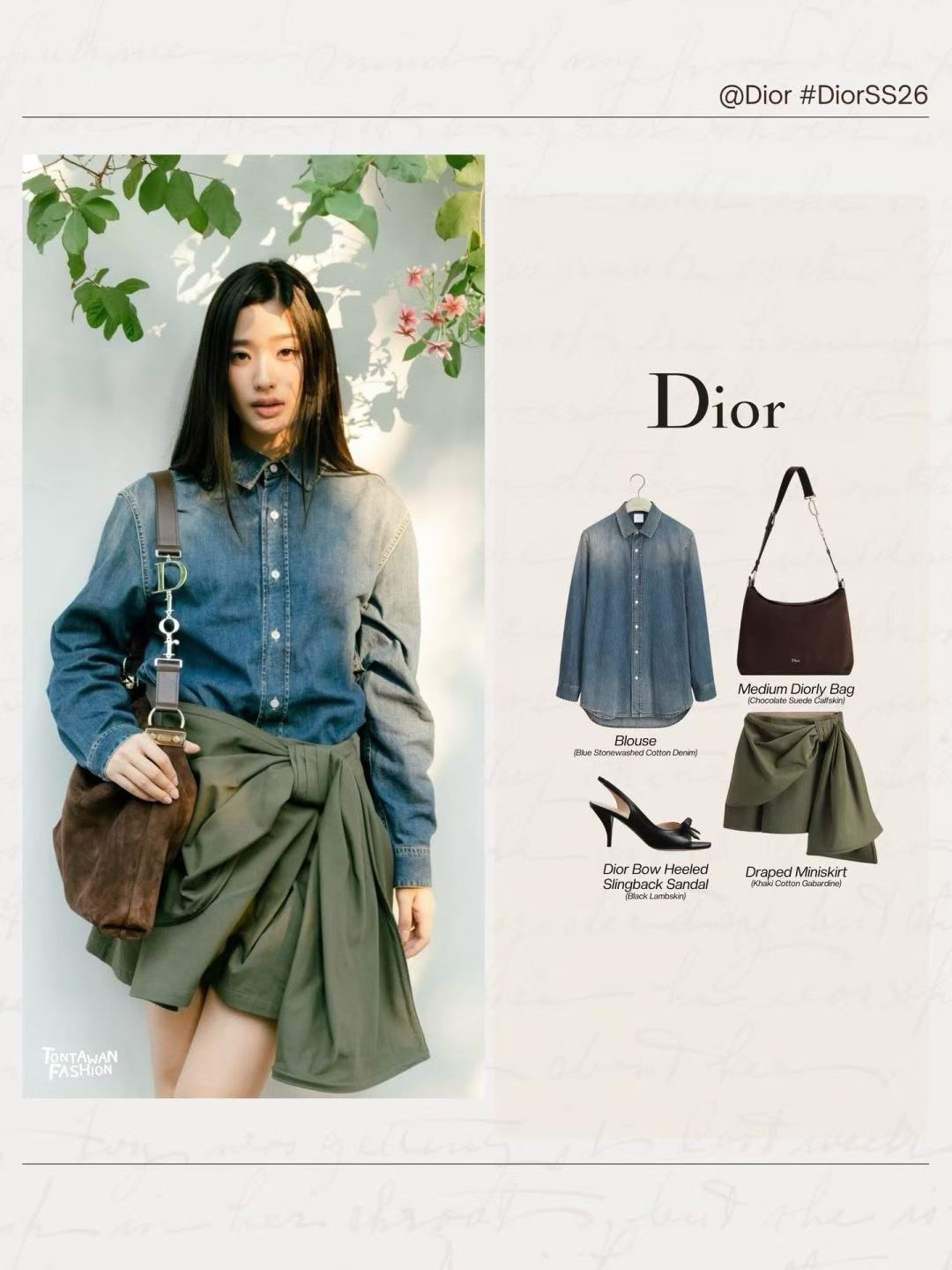Dior Medium ly Bag view 9