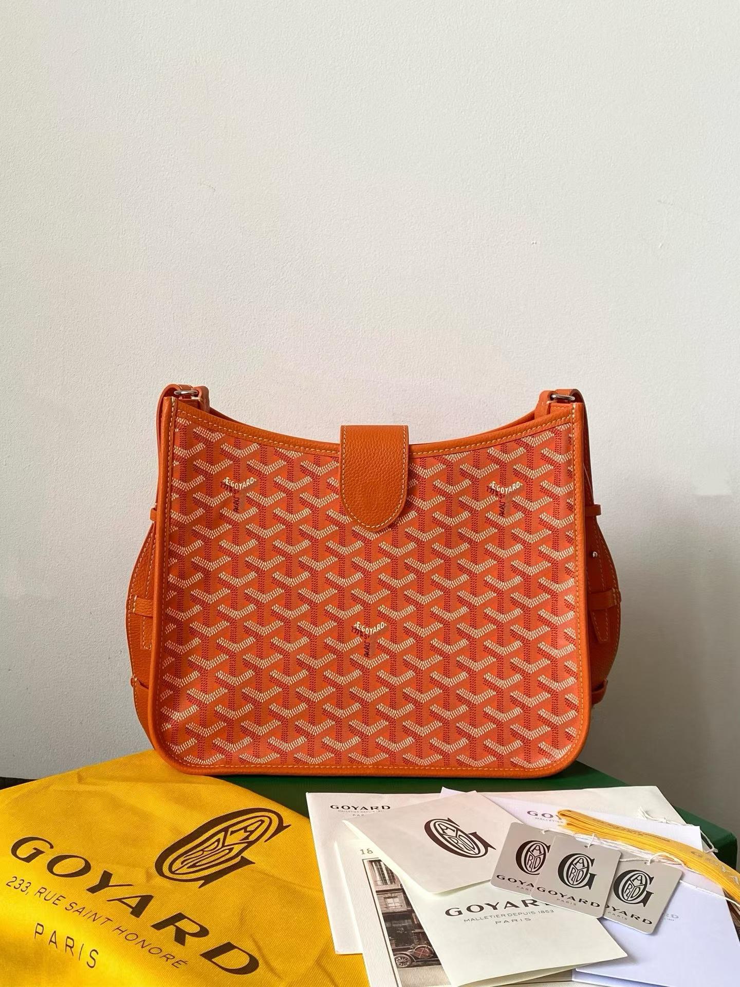 Goyard Musette bag view 11