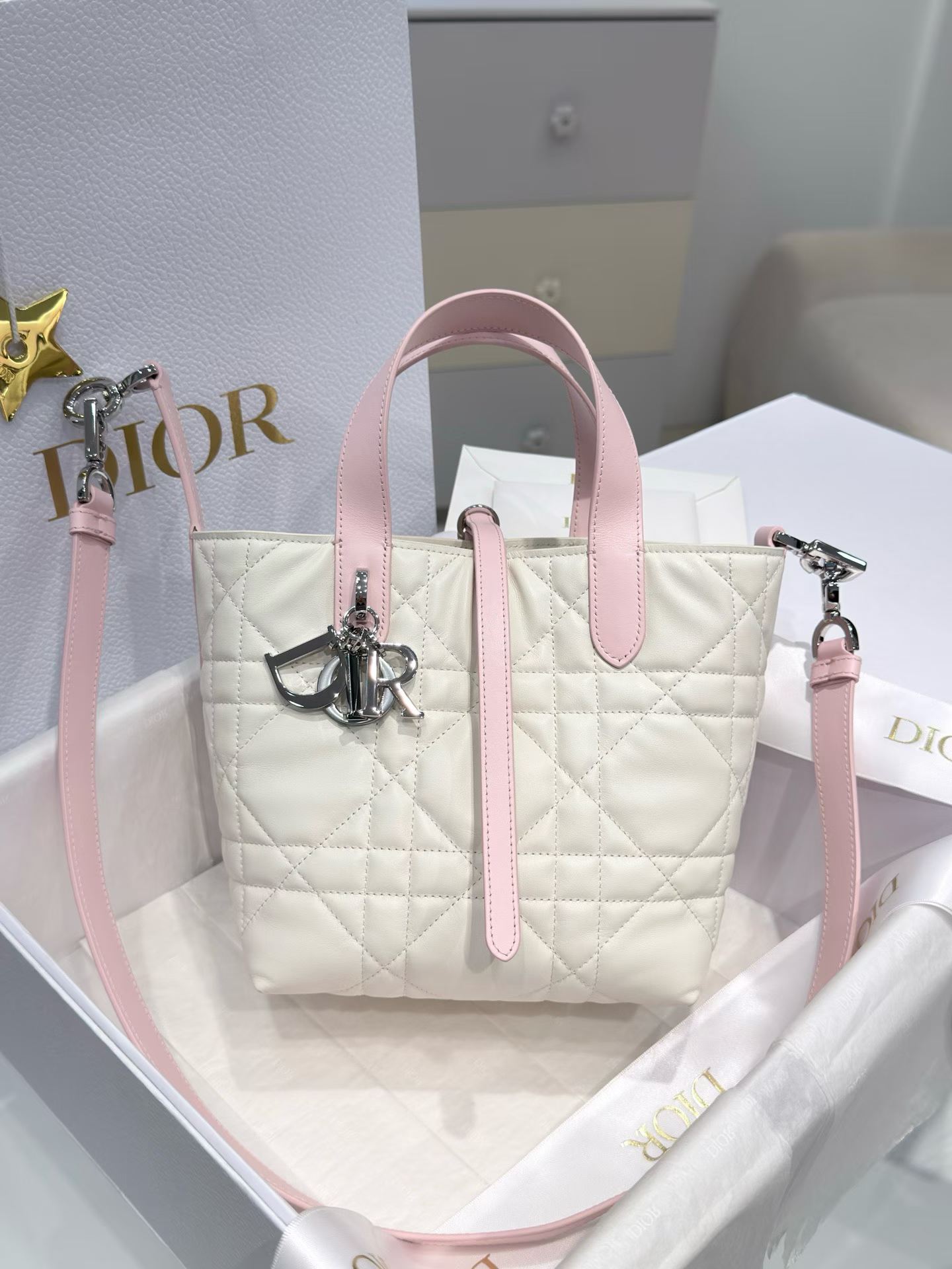 Dior Small Toujours Vertical Tote Bag view 1