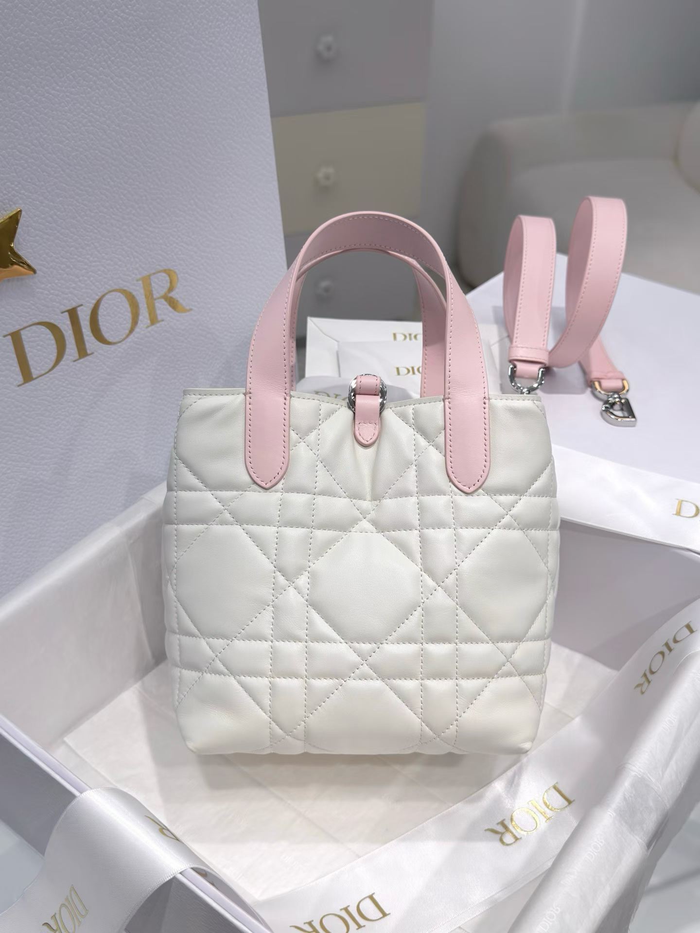 Dior Small Toujours Vertical Tote Bag view 2