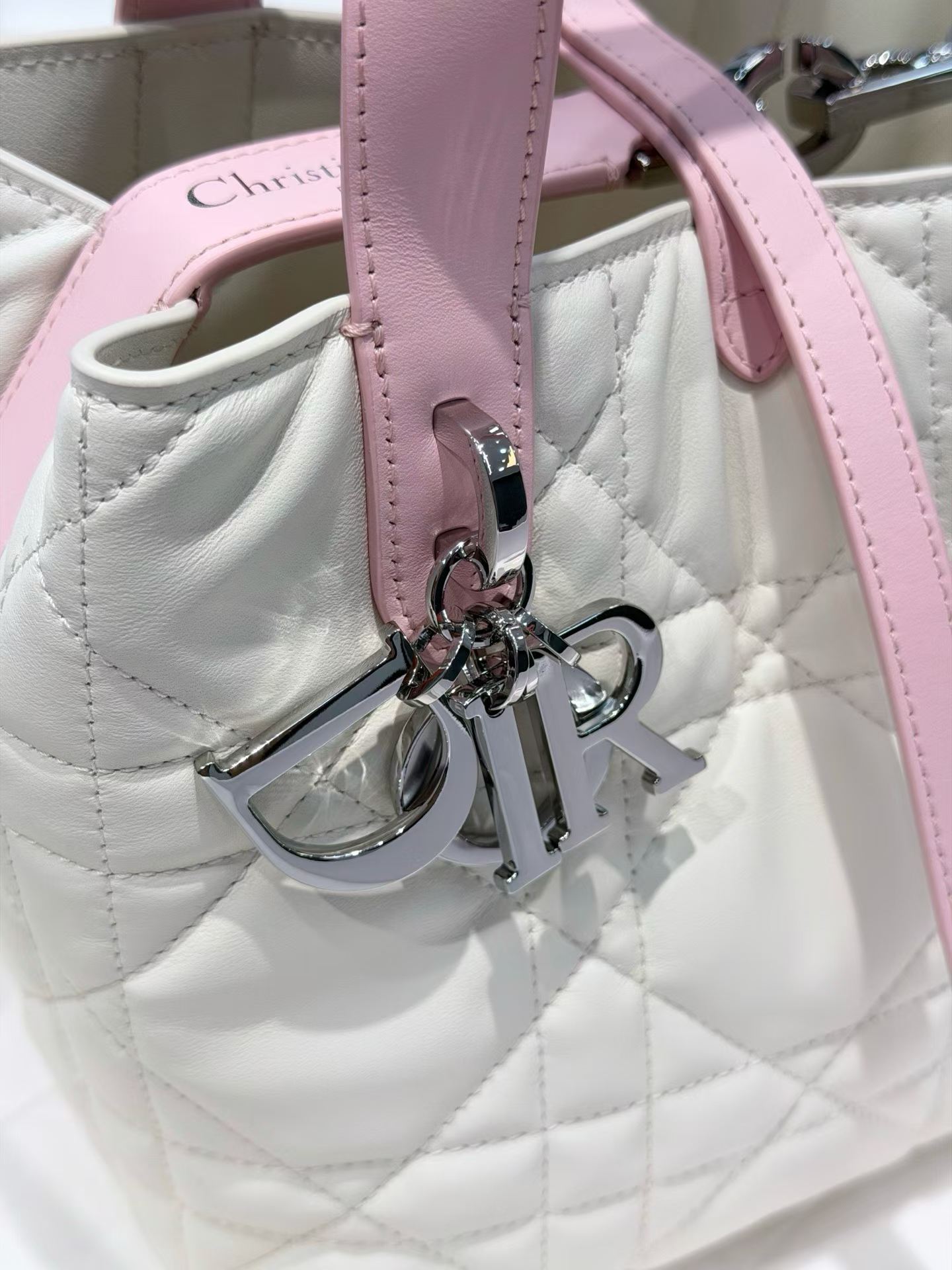Dior Small Toujours Vertical Tote Bag view 4