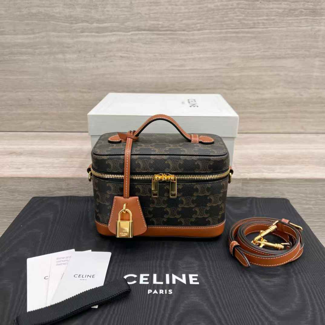Celine VANITY in Triomphe Canvas and calfskin view 1