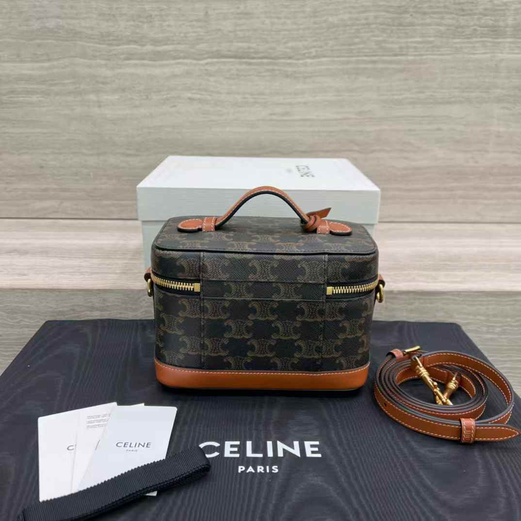 Celine VANITY in Triomphe Canvas and calfskin view 2