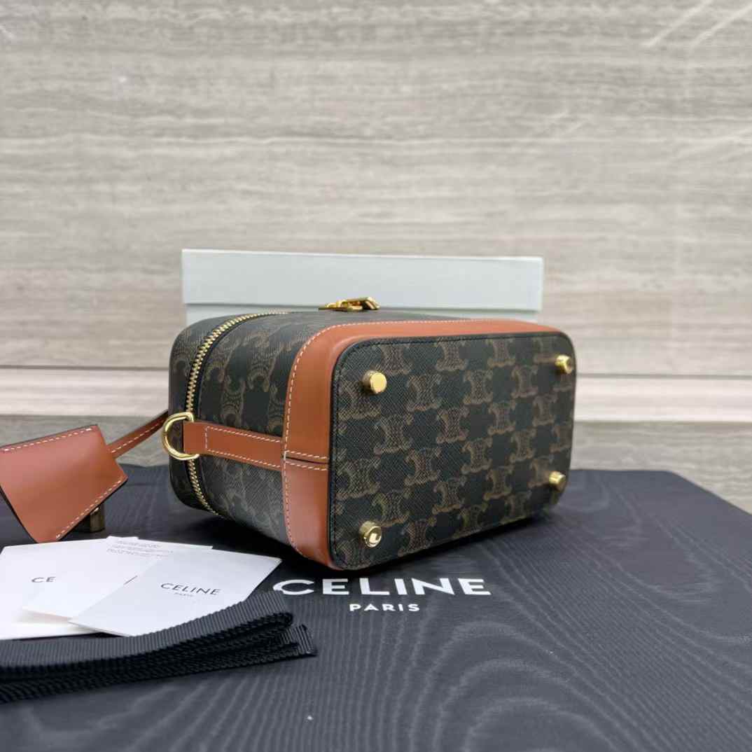 Celine VANITY in Triomphe Canvas and calfskin view 3