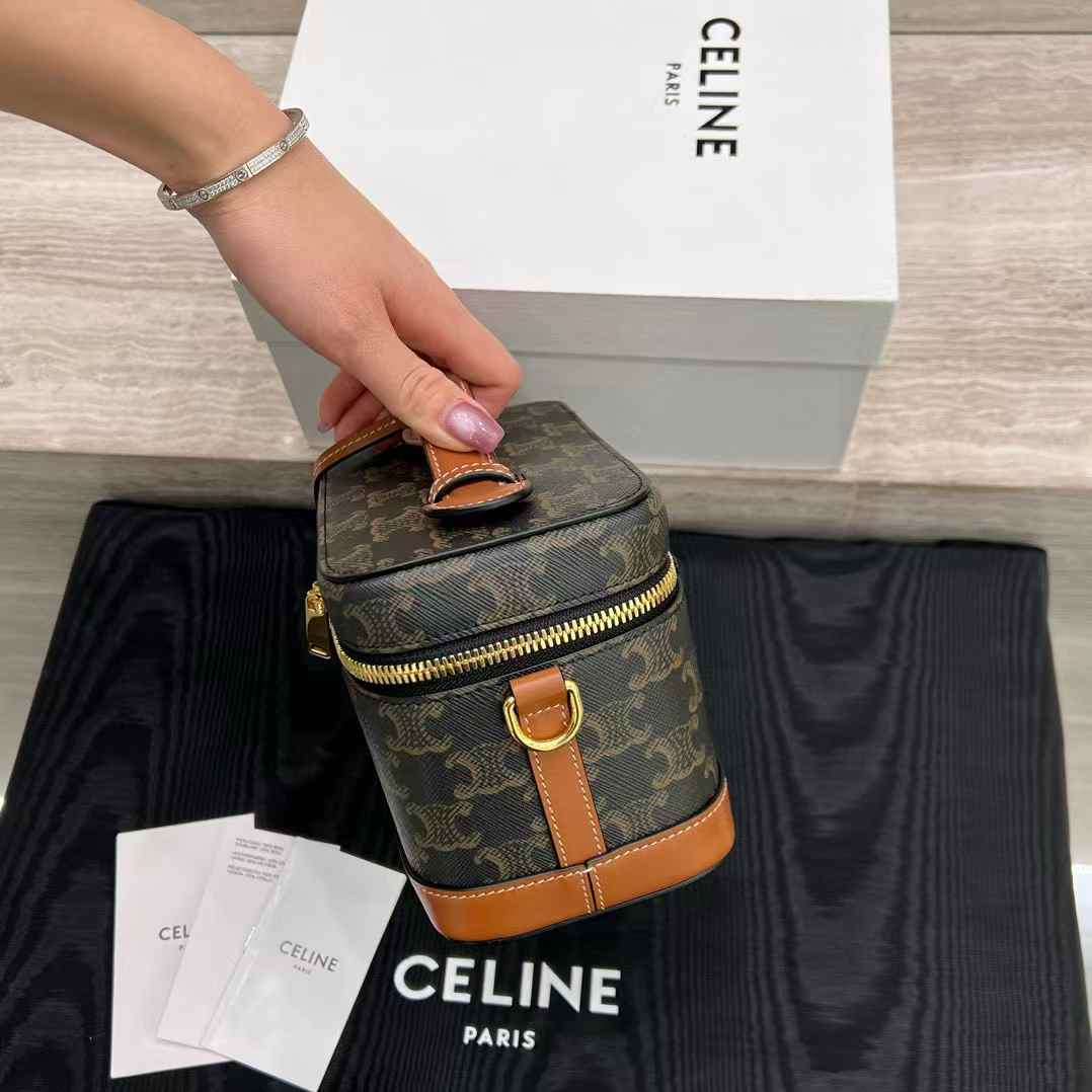 Celine VANITY in Triomphe Canvas and calfskin view 4