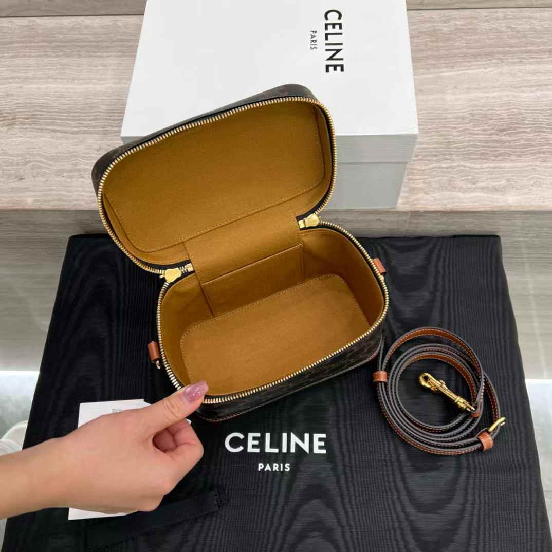 Celine VANITY in Triomphe Canvas and calfskin view 5