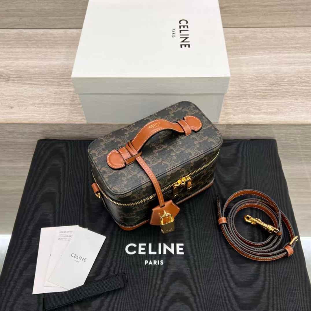 Celine VANITY in Triomphe Canvas and calfskin view 6
