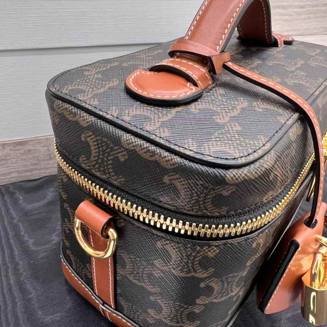 Celine VANITY in Triomphe Canvas and calfskin view 7