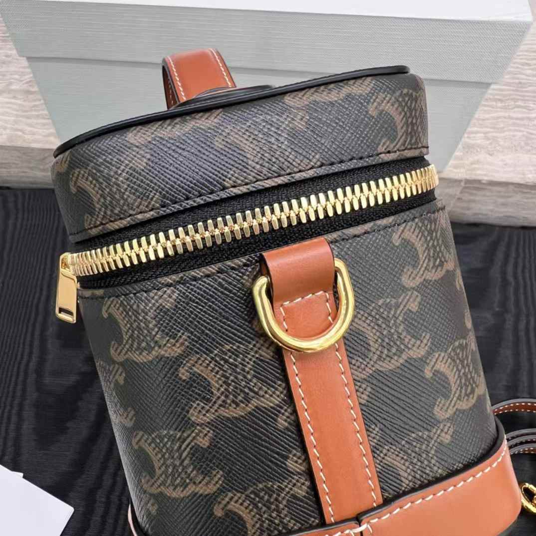 Celine VANITY in Triomphe Canvas and calfskin view 8