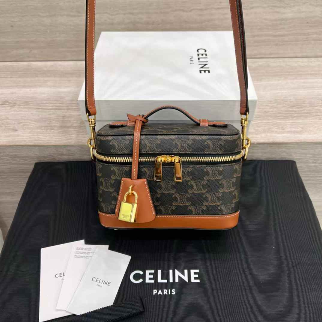 Celine VANITY in Triomphe Canvas and calfskin view 9