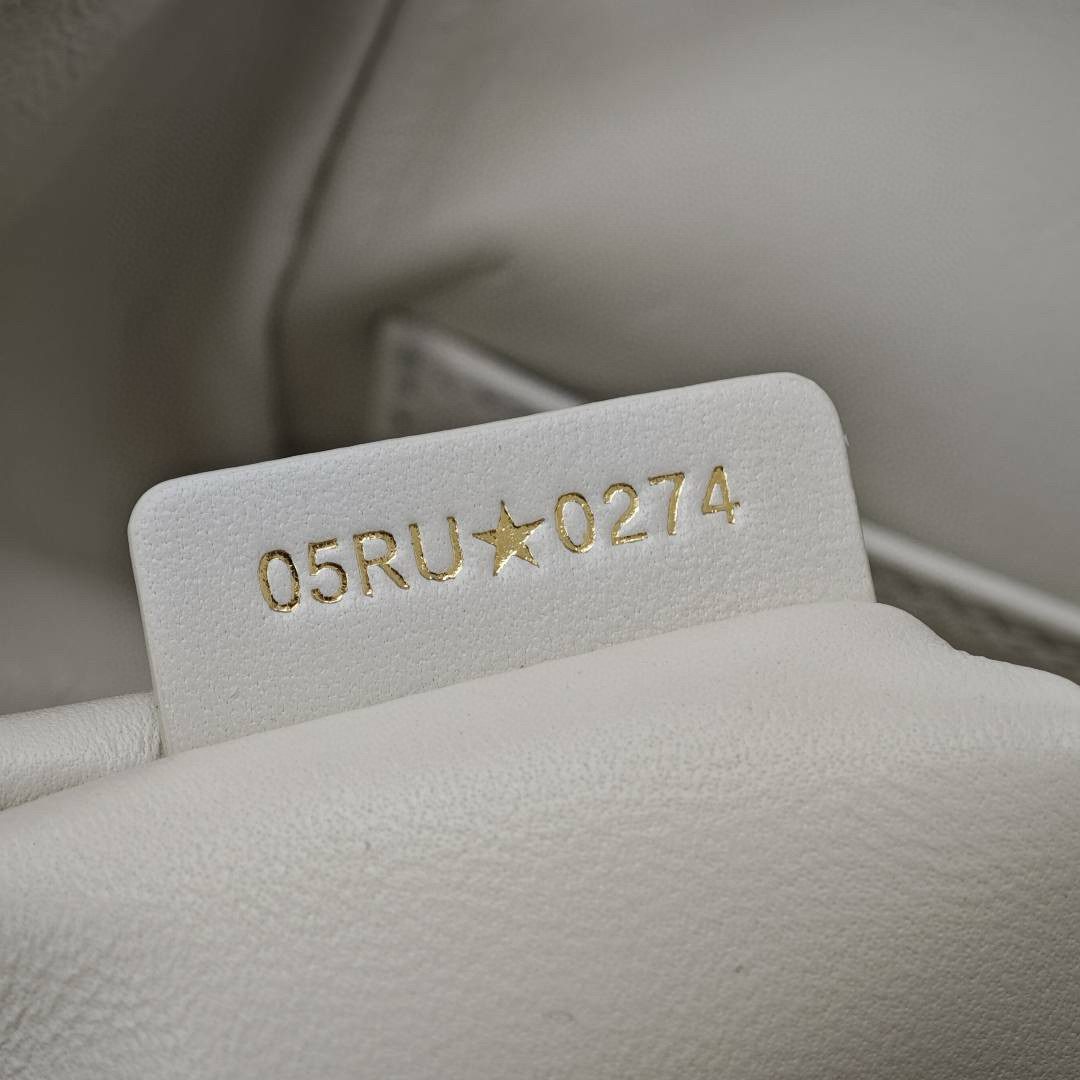 Dior Small Caro Backpack view 9