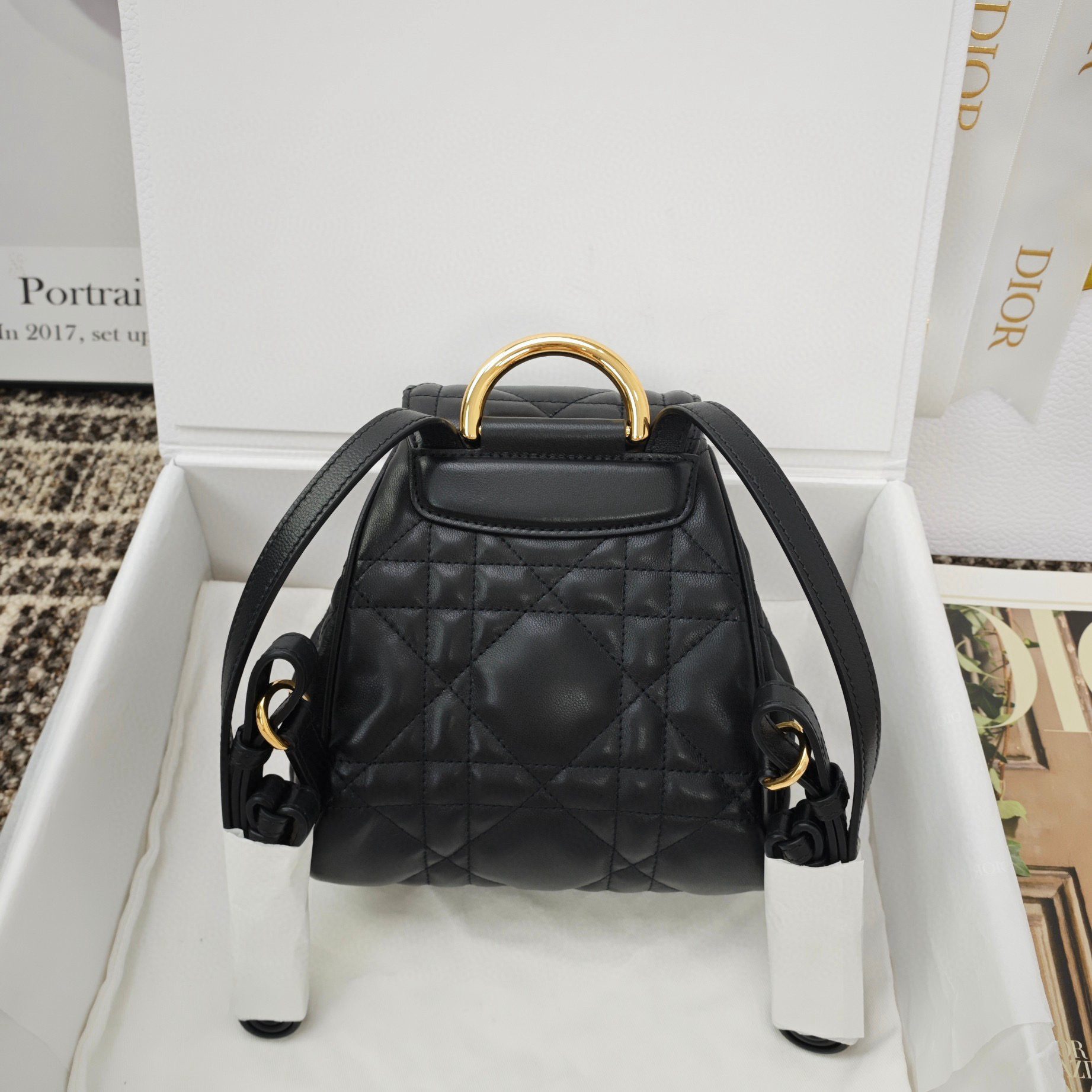 Dior Small Caro Backpack view 2