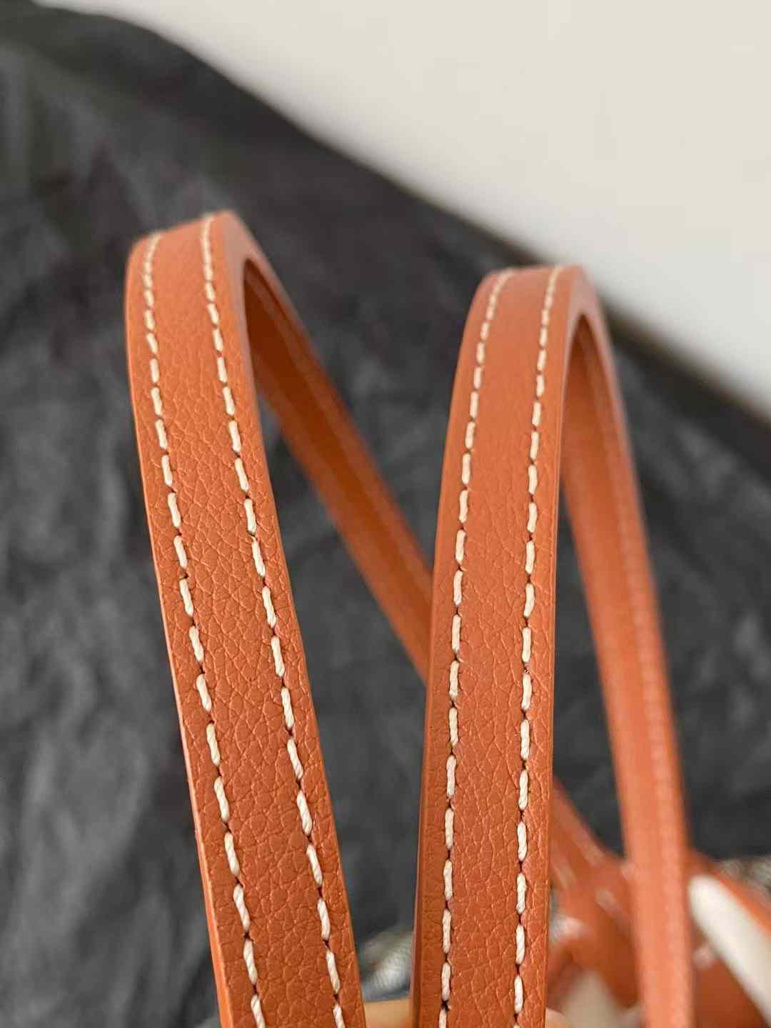 Goyard Saint Louis GM Bag view 4