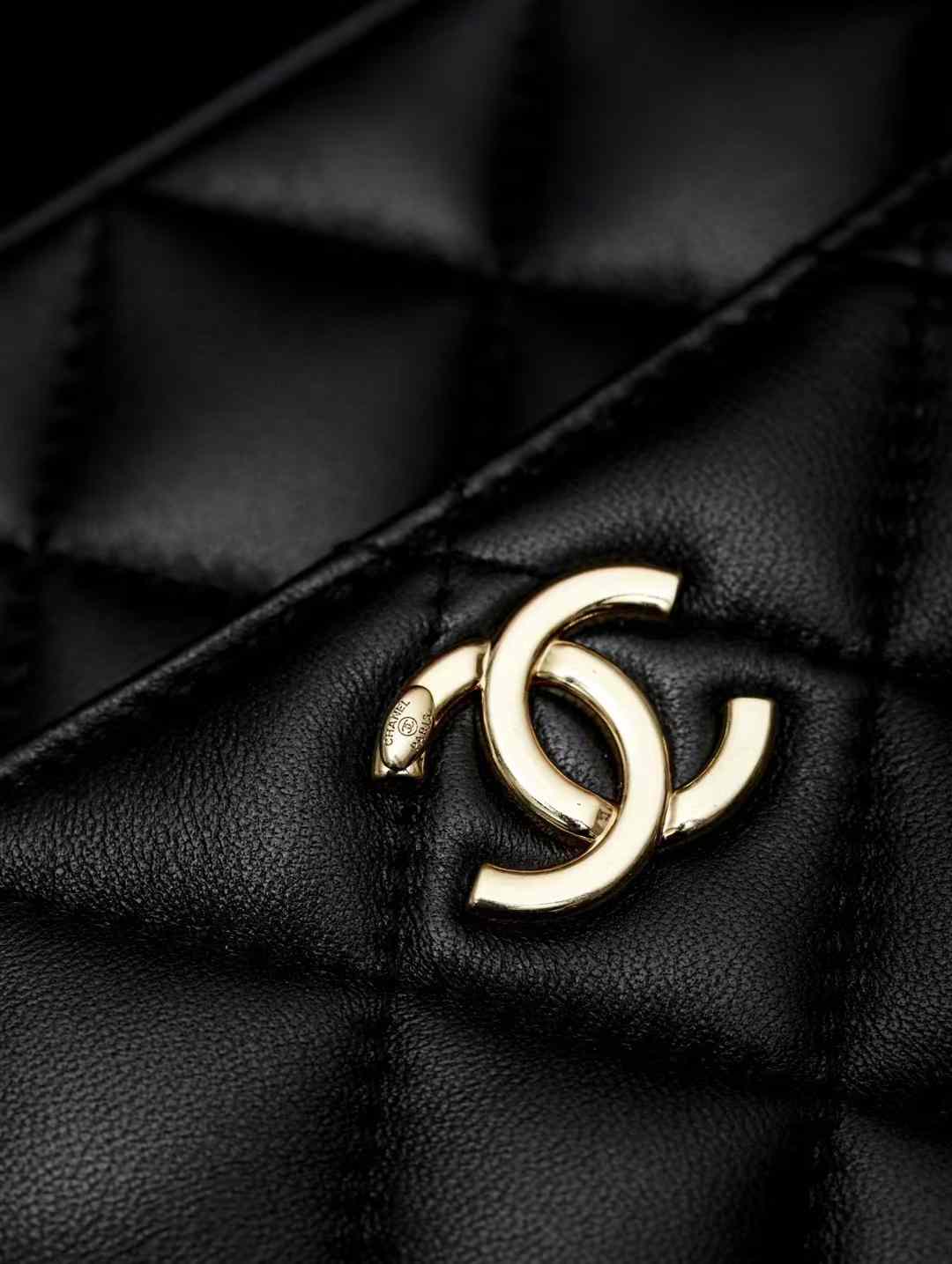Chanel Mini Camera Case view 4