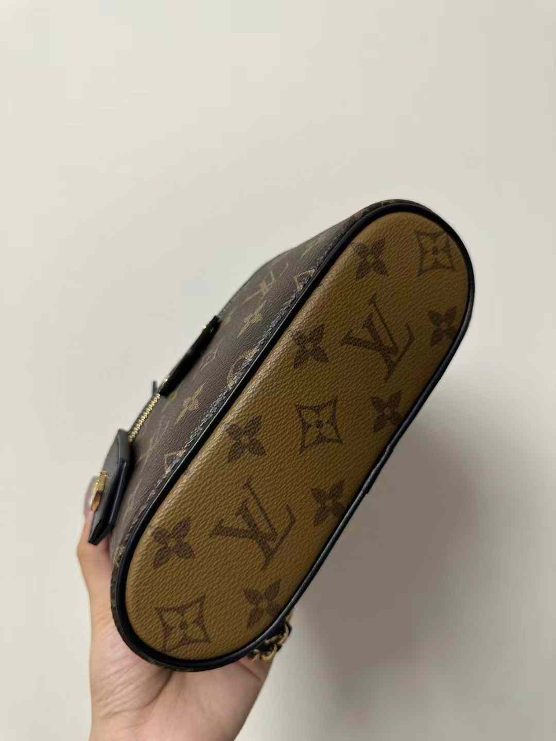 Louis Vuitton Vanity Chain Pouch M47125 view 3