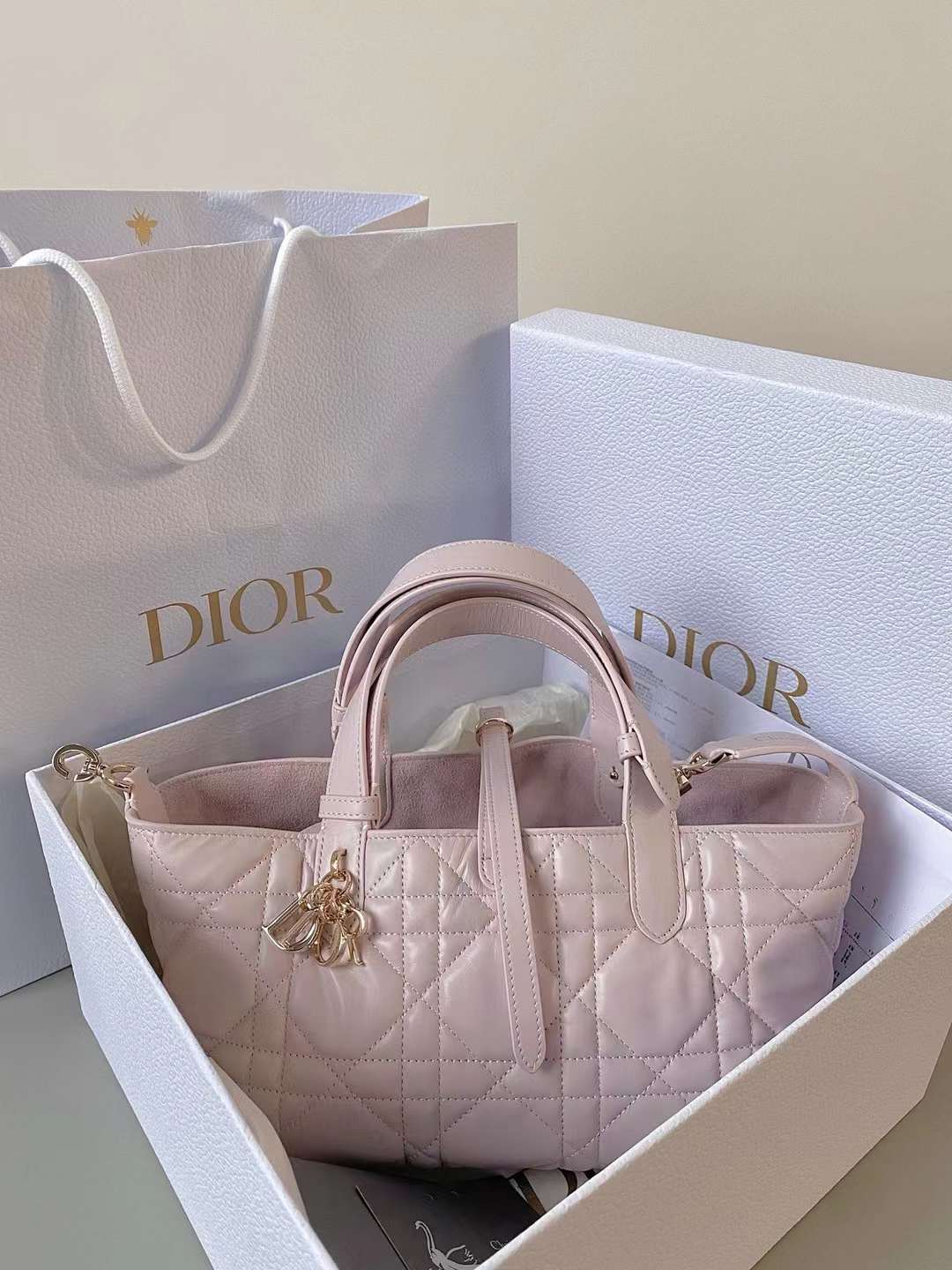 Dior Small Toujours Bag view 2