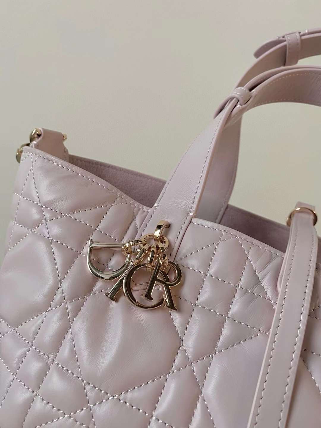 Dior Small Toujours Bag view 4