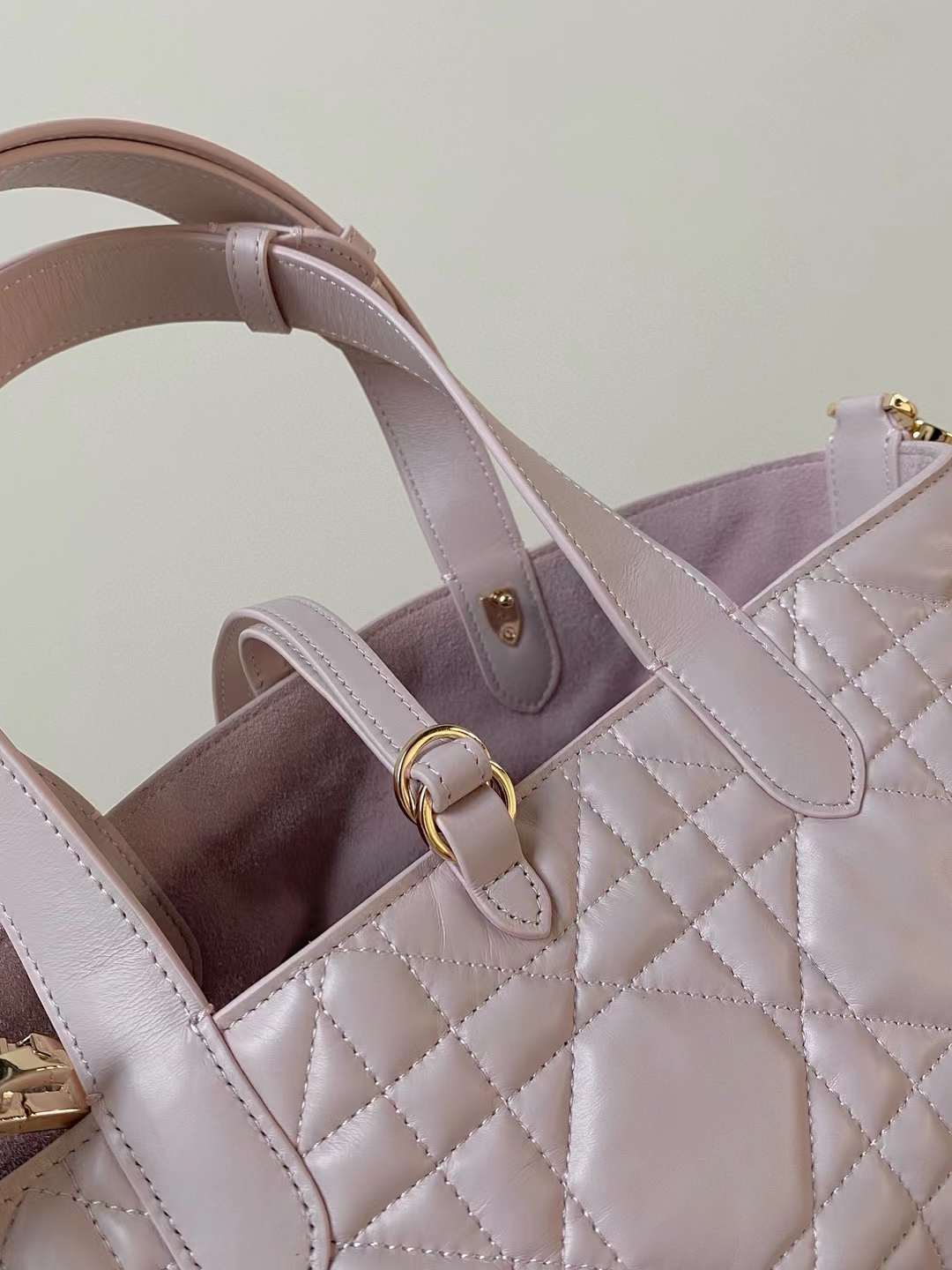 Dior Small Toujours Bag view 5