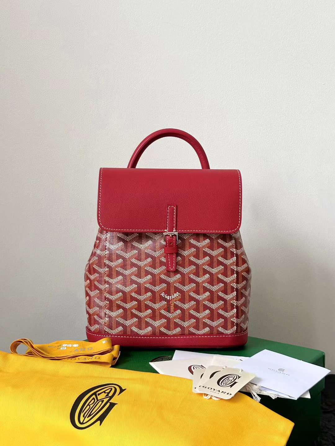 Goyard Alpin MM Backpack view 12