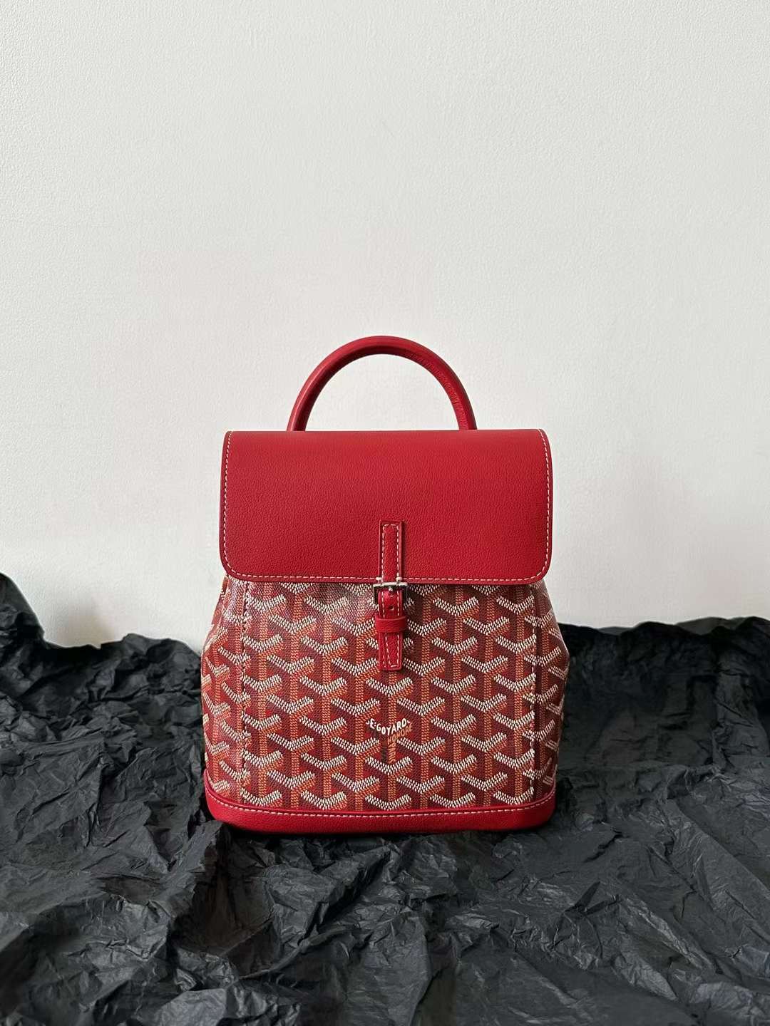 Goyard Alpin MM Backpack view 13