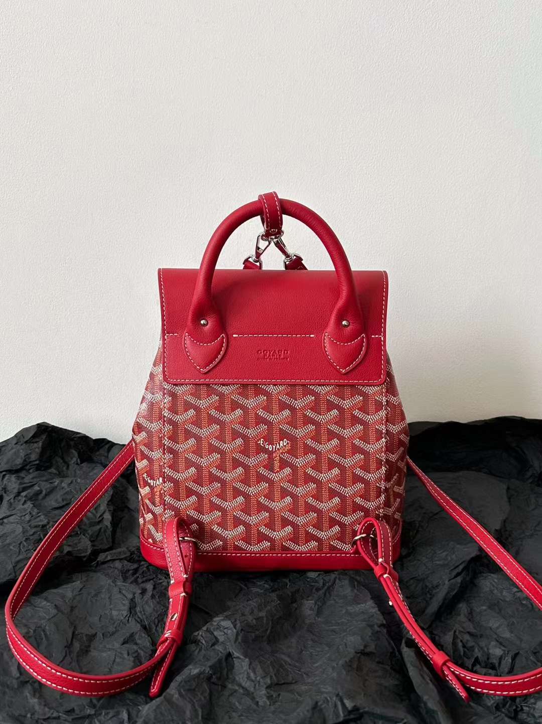 Goyard Alpin MM Backpack view 14