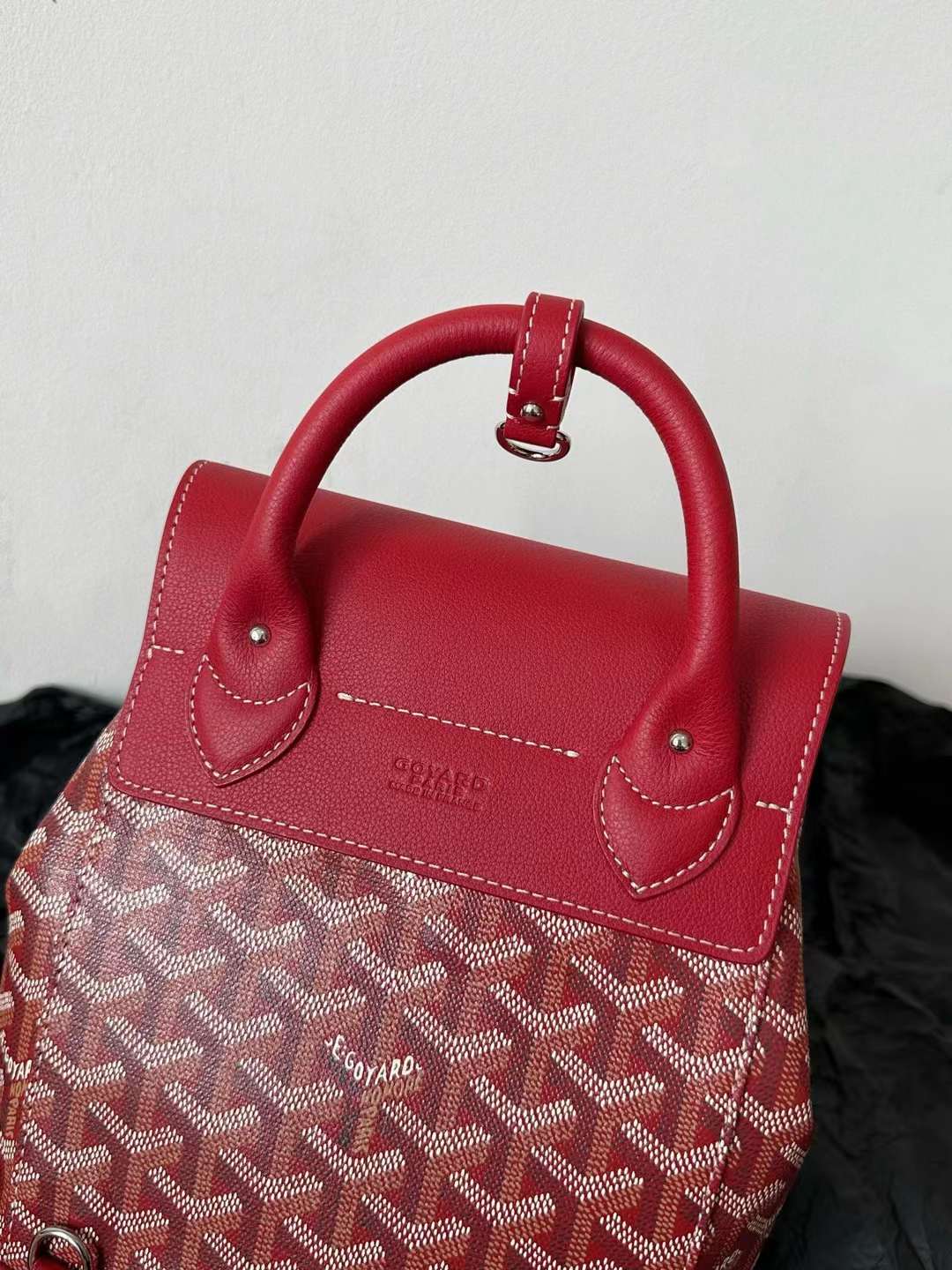 Goyard Alpin MM Backpack view 17