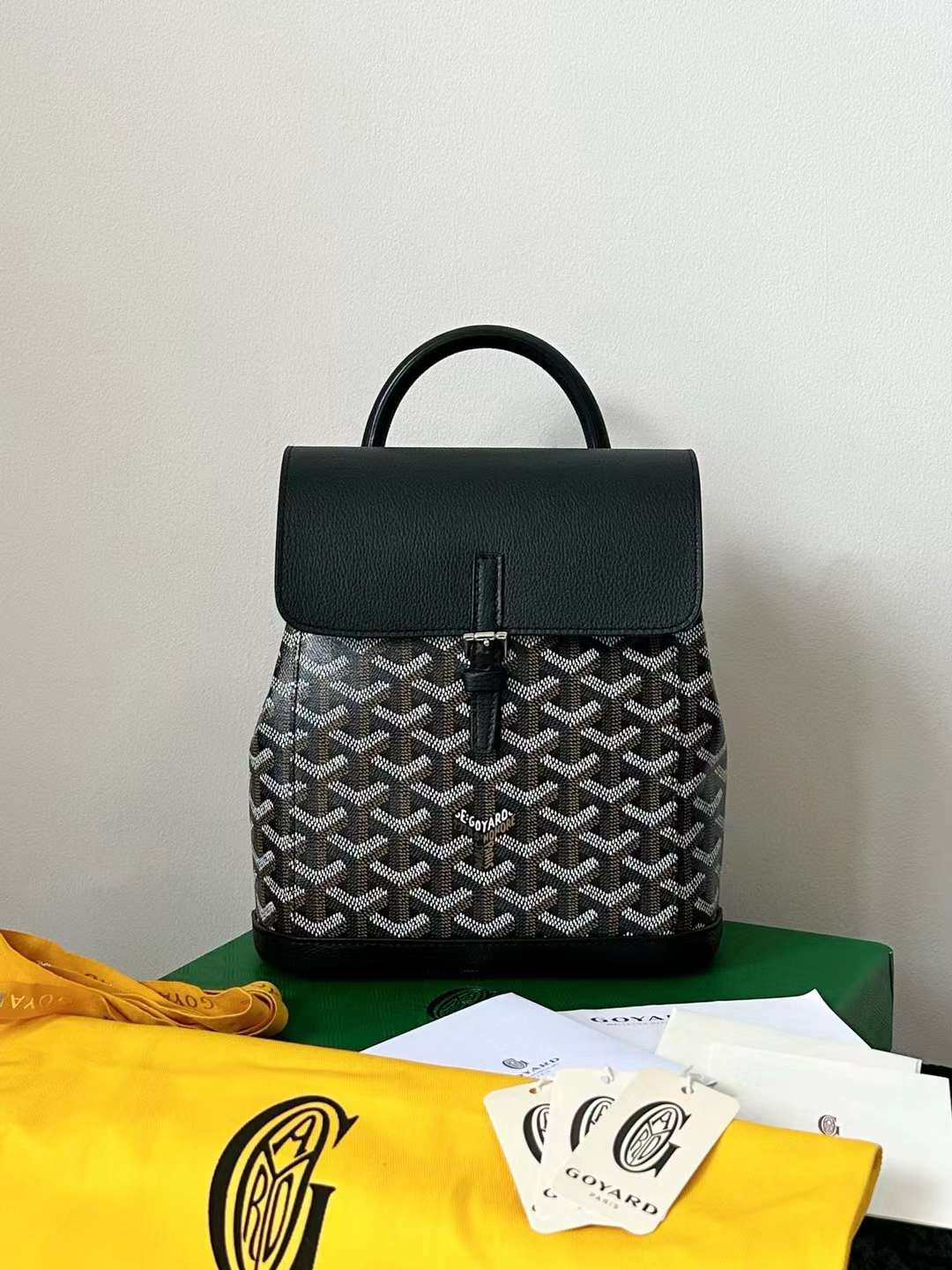 Goyard Alpin MM Backpack view 2