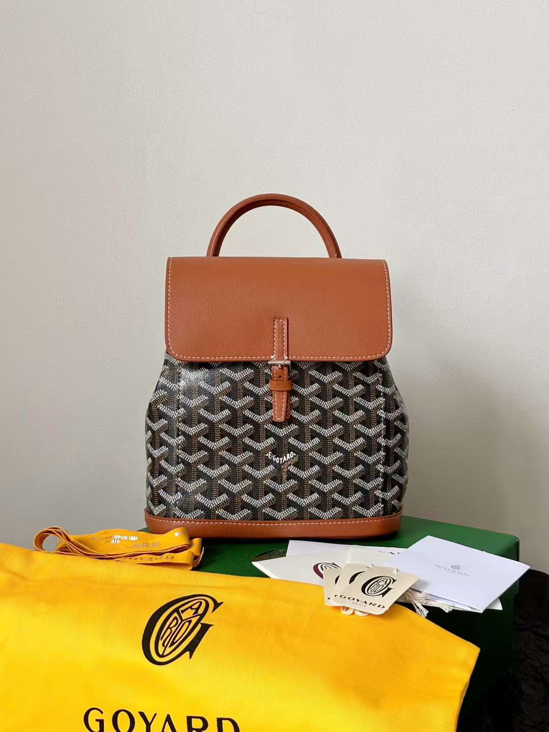 Goyard Alpin MM Backpack view 21