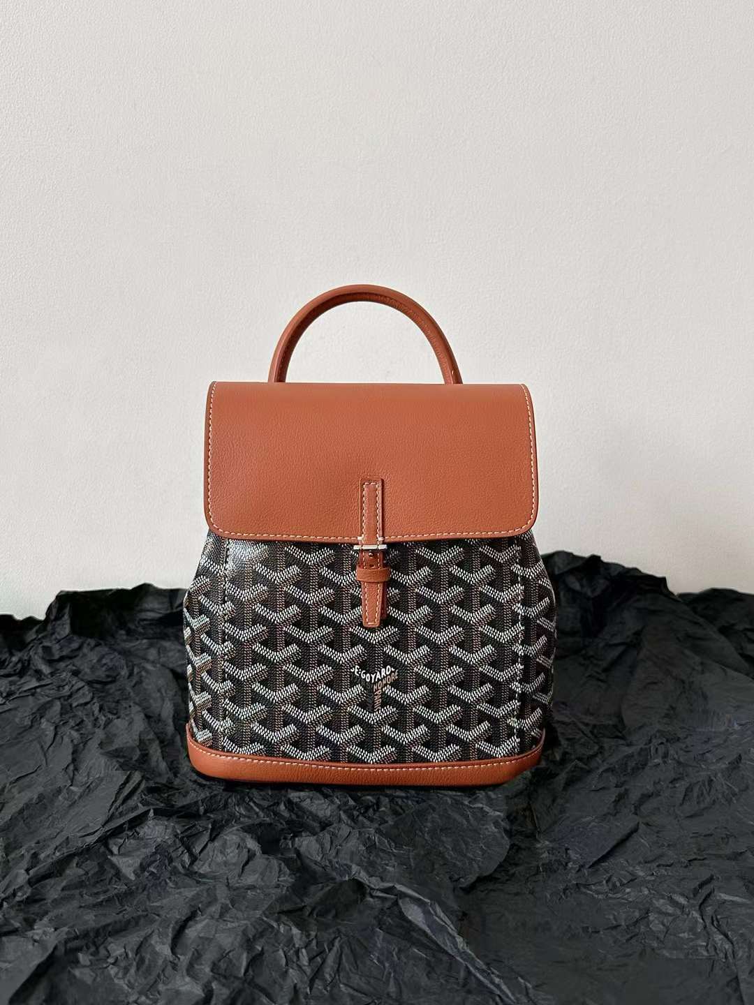 Goyard Alpin MM Backpack view 22