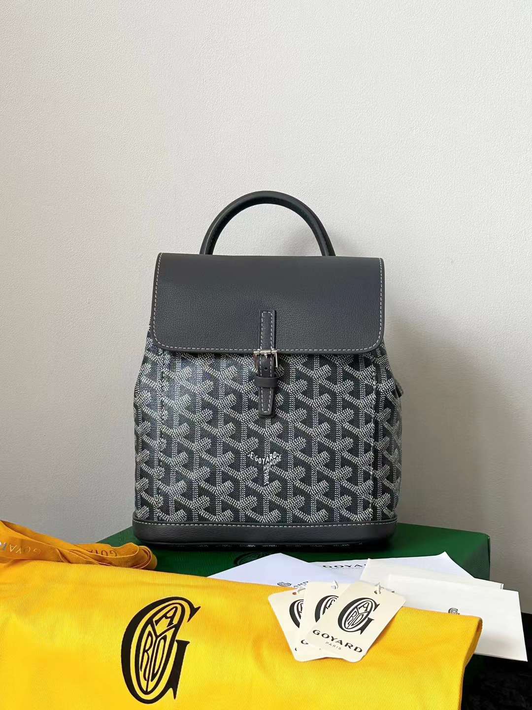 Goyard Alpin MM Backpack view 31