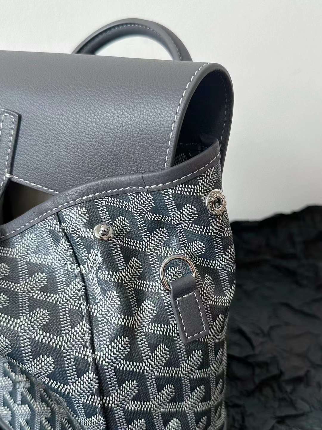 Goyard Alpin MM Backpack view 38