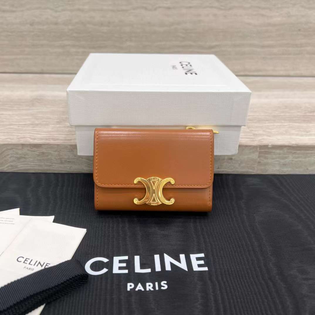 Celine Small Flap Wallet TRIOMPHE in Shiny calfskin view 1