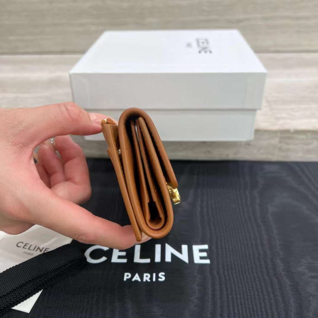 Celine Small Flap Wallet TRIOMPHE in Shiny calfskin view 3