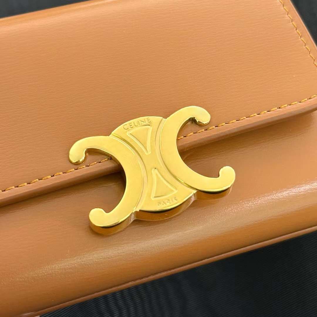 Celine Small Flap Wallet TRIOMPHE in Shiny calfskin view 4