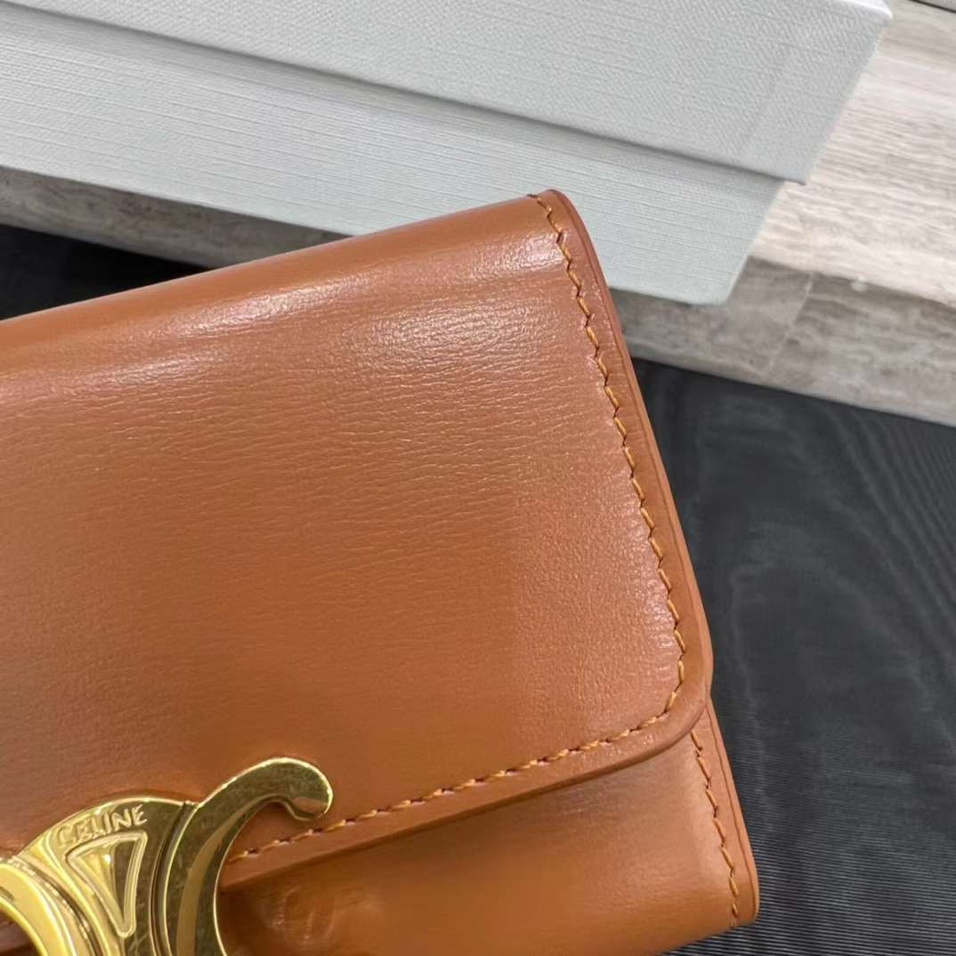Celine Small Flap Wallet TRIOMPHE in Shiny calfskin view 6