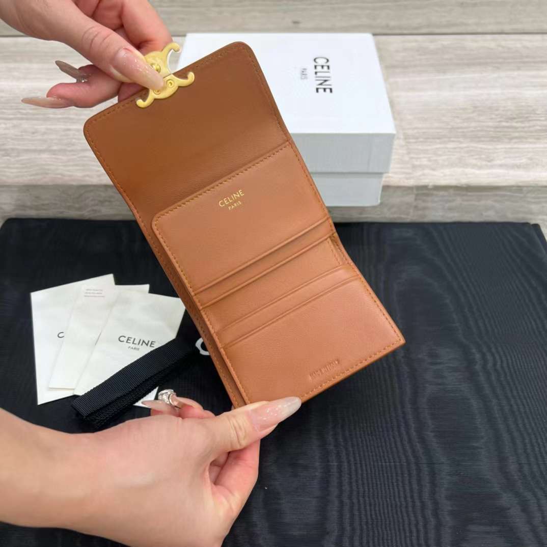 Celine Small Flap Wallet TRIOMPHE in Shiny calfskin view 8