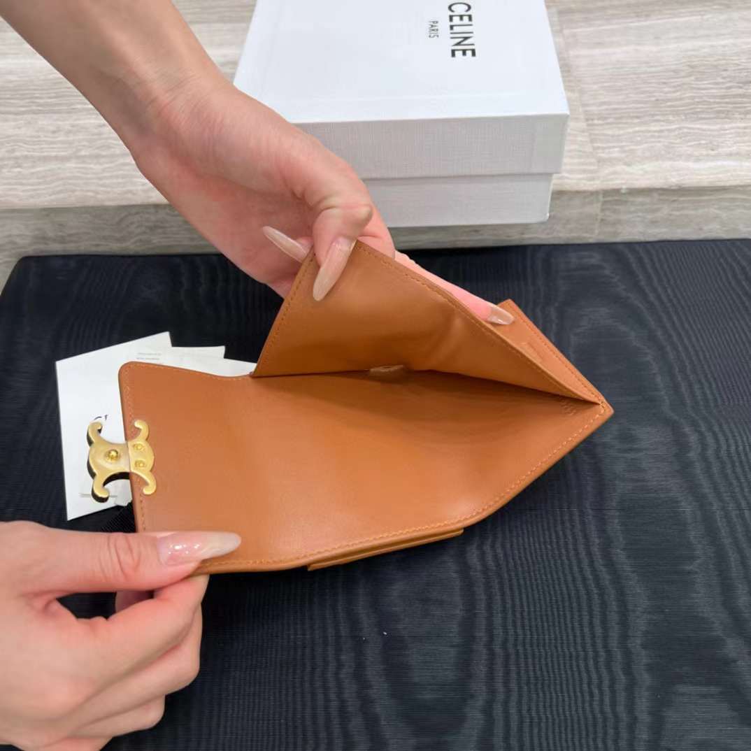 Celine Small Flap Wallet TRIOMPHE in Shiny calfskin view 9