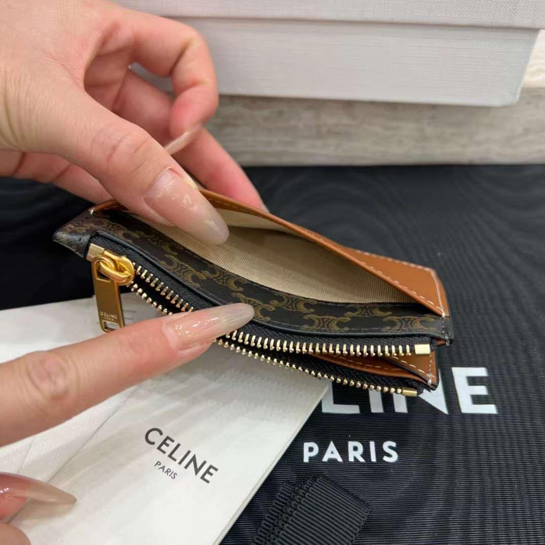 Celine Card holder in Triomphe canvas with Print view 4