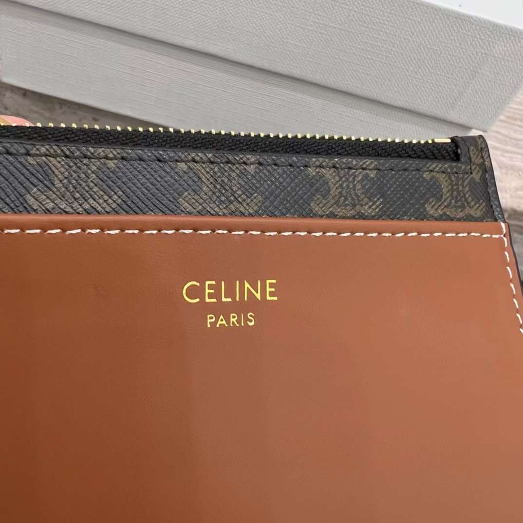 Celine Card holder in Triomphe canvas with Print view 6