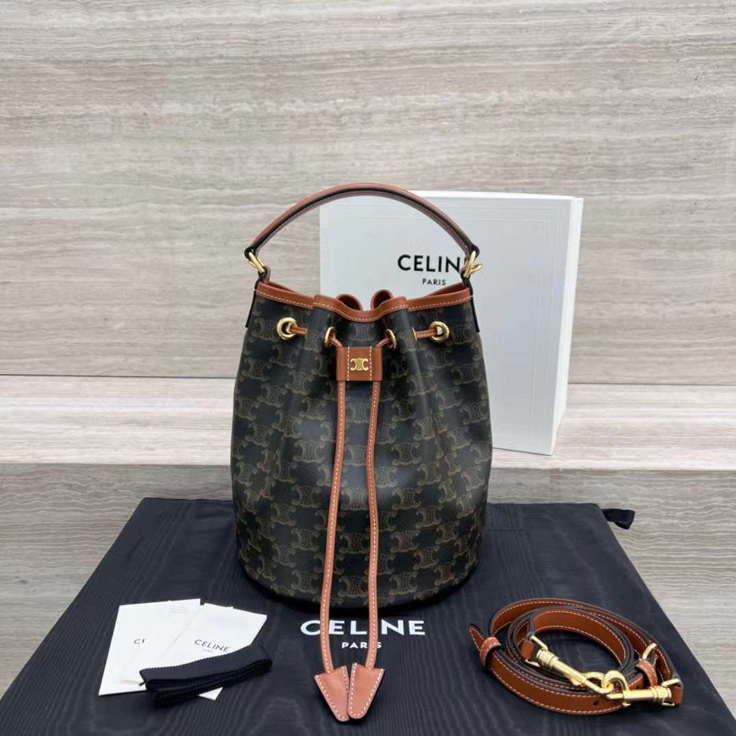 Celine Clara Bag In Triomphe Canvas And Calfskin view 1