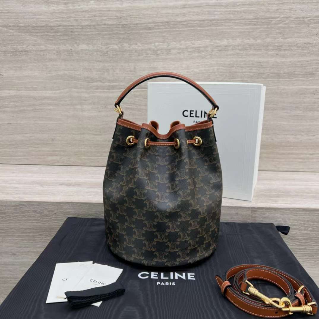Celine Clara Bag In Triomphe Canvas And Calfskin view 2