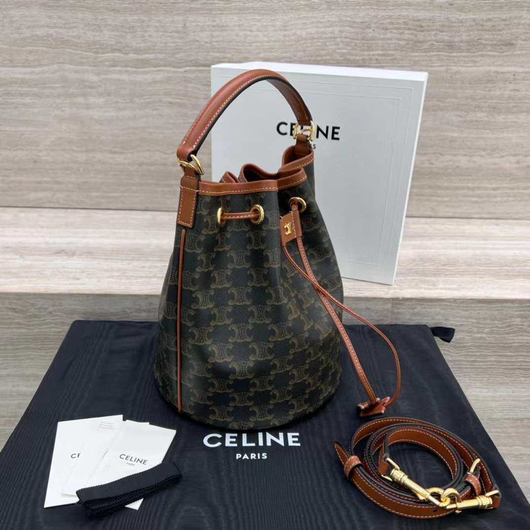 Celine Clara Bag In Triomphe Canvas And Calfskin view 3