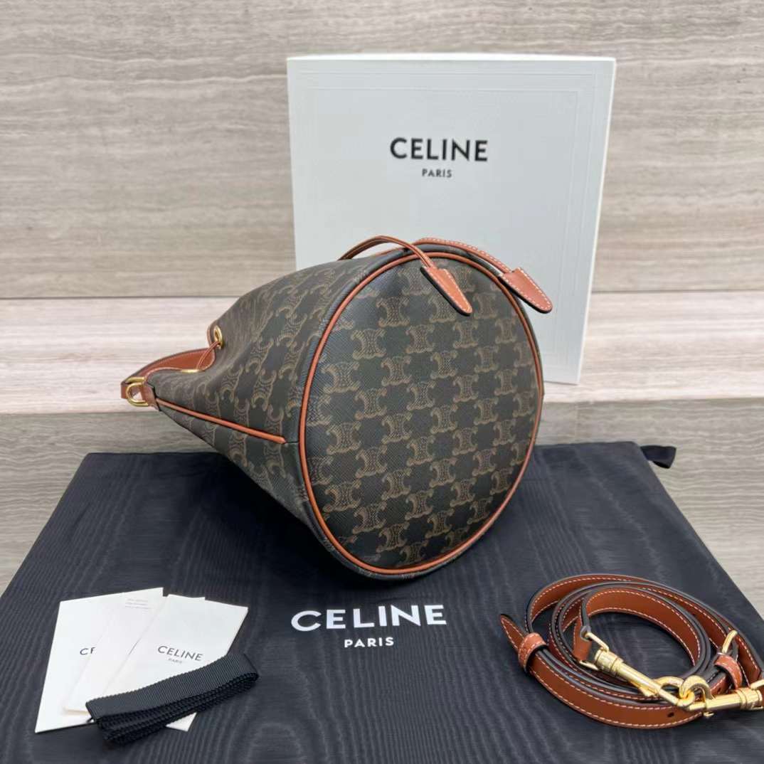 Celine Clara Bag In Triomphe Canvas And Calfskin view 4
