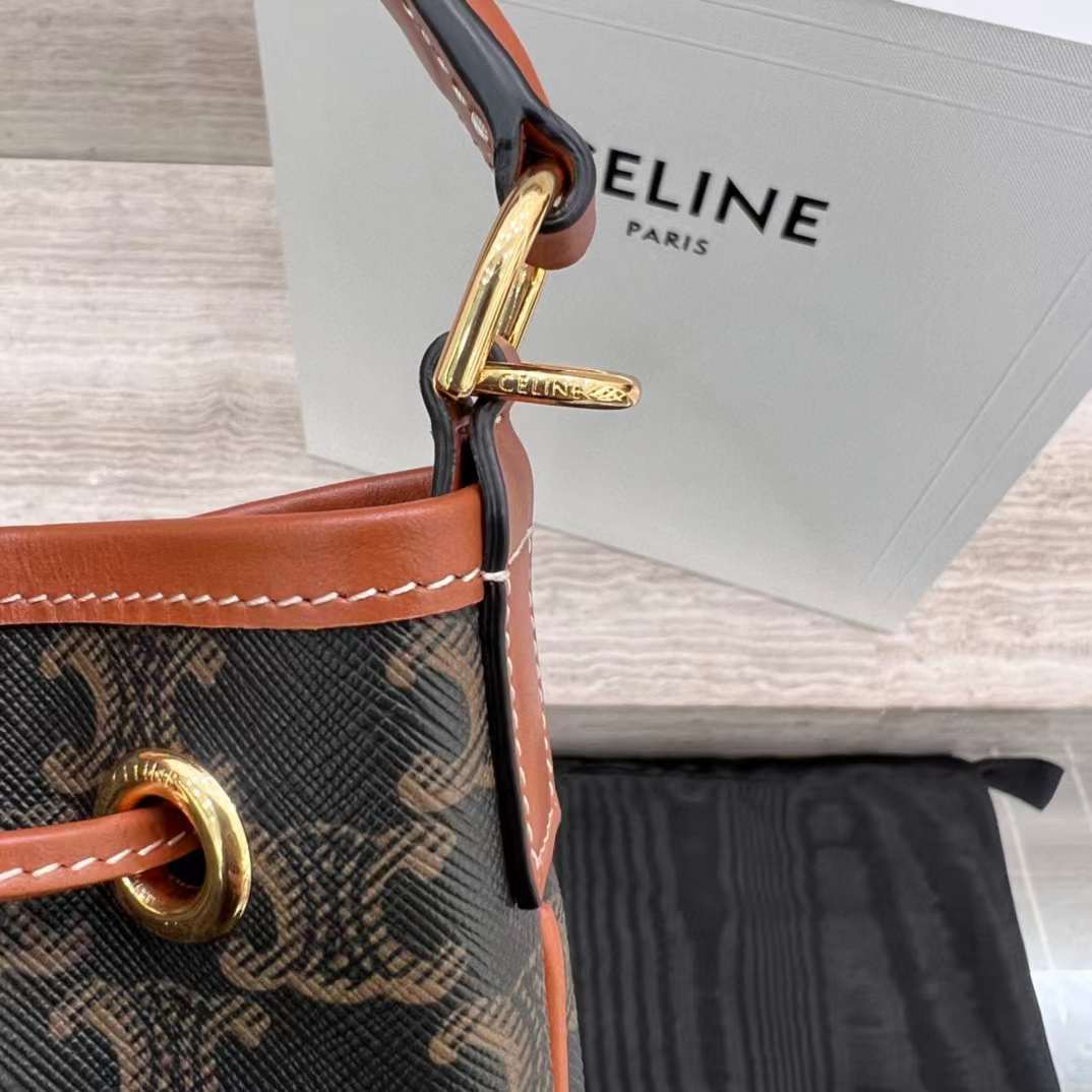 Celine Clara Bag In Triomphe Canvas And Calfskin view 5