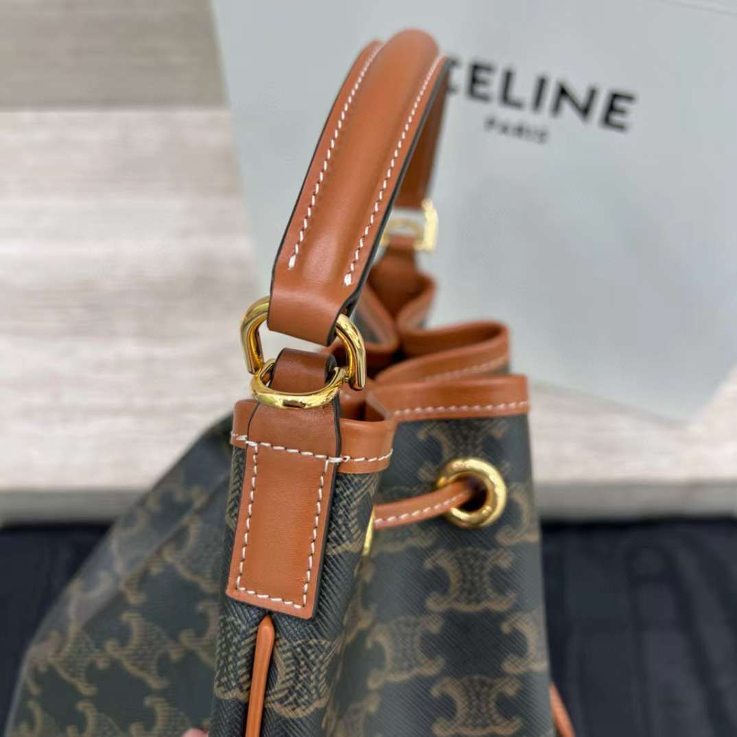 Celine Clara Bag In Triomphe Canvas And Calfskin view 6
